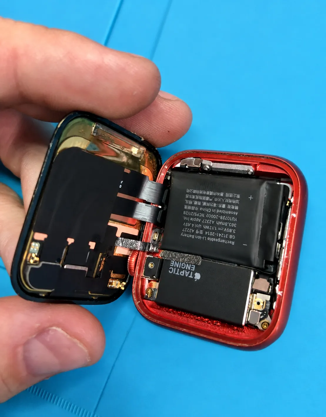 Открытый корпус Apple Watch: видны аккумулятор и отведённый экран